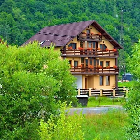 Casa Vadeanu Hotel Sighetu Marmatiei Ngoại thất bức ảnh