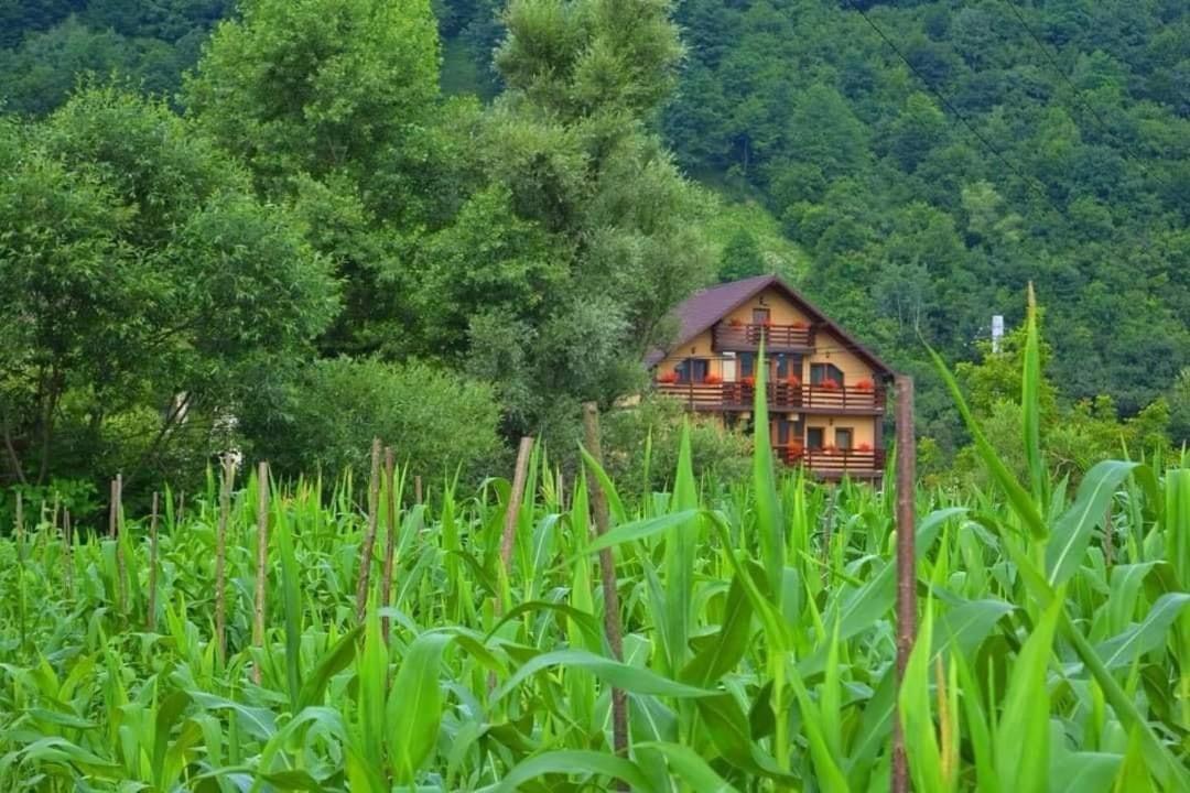 Casa Vadeanu Hotel Sighetu Marmatiei Ngoại thất bức ảnh